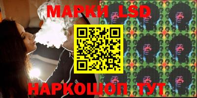 МДПВ Новозыбков