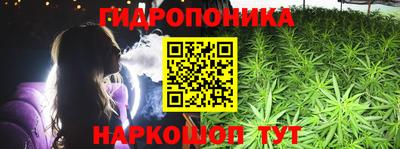 МДПВ Новозыбков