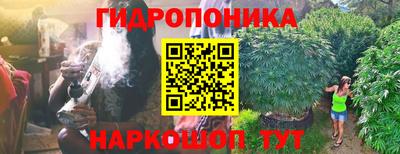 МДПВ Новозыбков