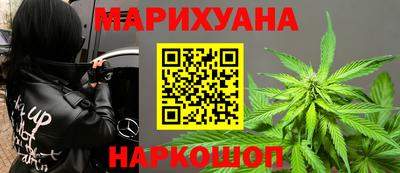 гидра Новодвинск