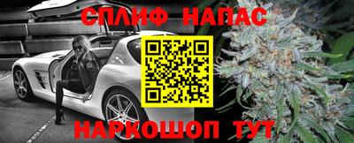 гидра Новодвинск