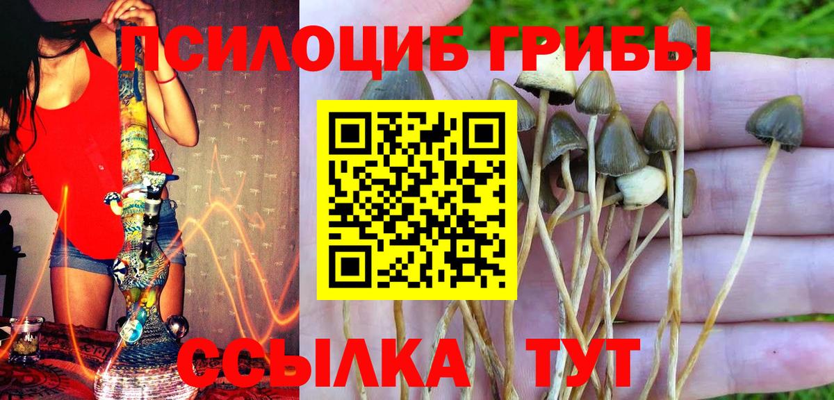 Сергиев Посад  Галлюциногенные грибы Psilocybine cubensis  продажа наркотиков  Галлюциногенные грибы Magic Shrooms  Вход с VPN 